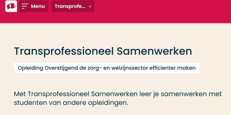 Werkplaats Sociaal Domein Zuid-Holland Zuid | Studenten maken een gedragen herontwerp voor een Schiedamse binnentuin