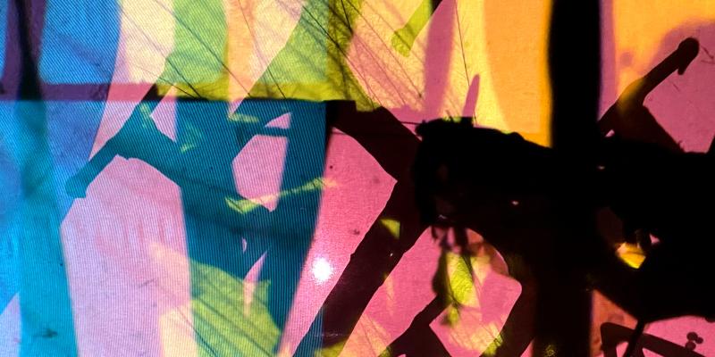 Werkplaats Sociaal Domein Zuid-Holland Zuid | Ecozine #2: Stem geven aan onrecht